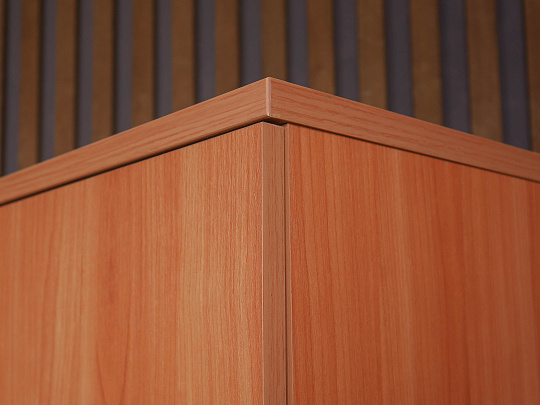 Шкаф для одежды ДСП Ольха Россия