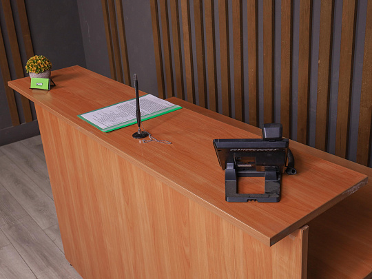 Ресепшн ДСП Ольха Россия