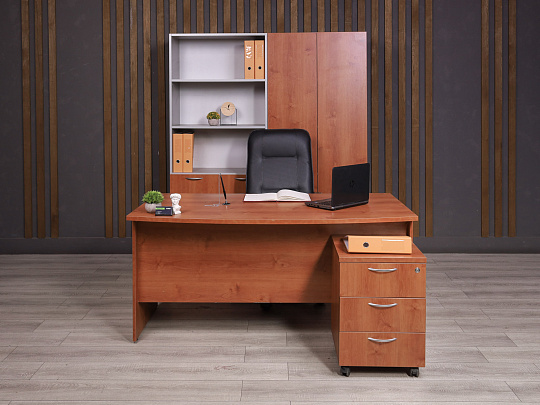 Кабинет руководителя ДСП Орех Россия