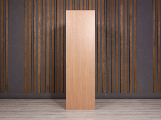 Шкаф для одежды ДСП Бук Россия