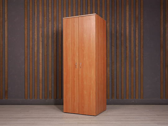 Шкаф для одежды ДСП Ольха Россия