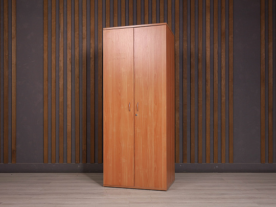 Шкаф для одежды ДСП Ольха Россия