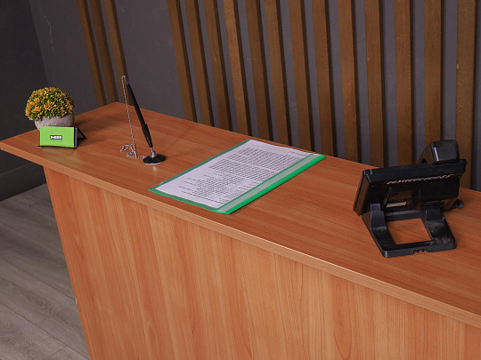 Ресепшн ДСП Ольха Россия