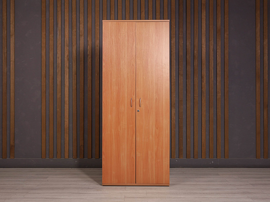 Шкаф для одежды ДСП Ольха Россия