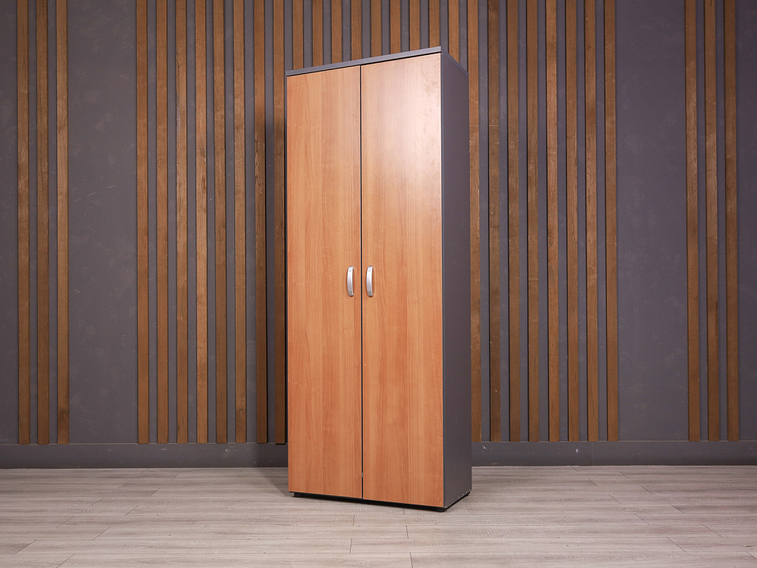 Шкаф для одежды ДСП Ольха Россия (25264-20065)