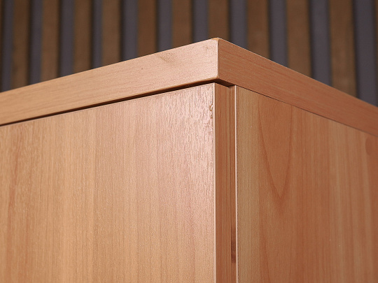 Шкаф для одежды ДСП Ольха Россия