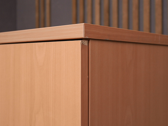 Шкаф для документов ДСП Бук Россия