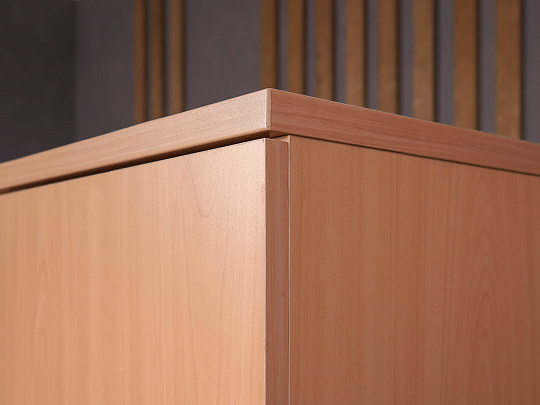 Шкаф для одежды ДСП Бук Россия