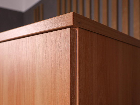 Шкаф для одежды ДСП Ольха Россия