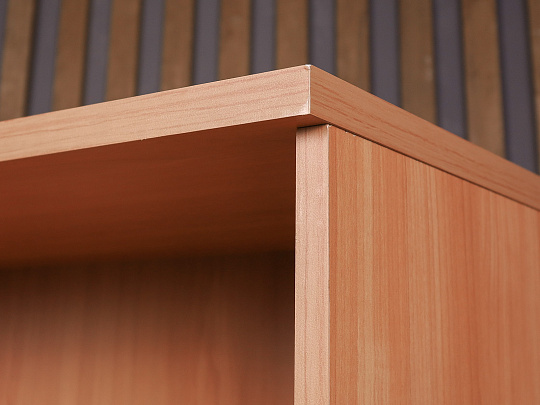 Шкаф для документов ДСП Ольха Россия