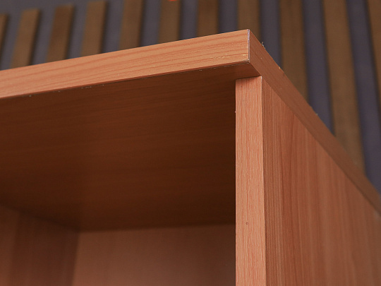 Шкаф для документов ДСП Ольха Россия