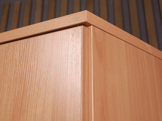 Шкаф для документов ДСП Ольха Россия